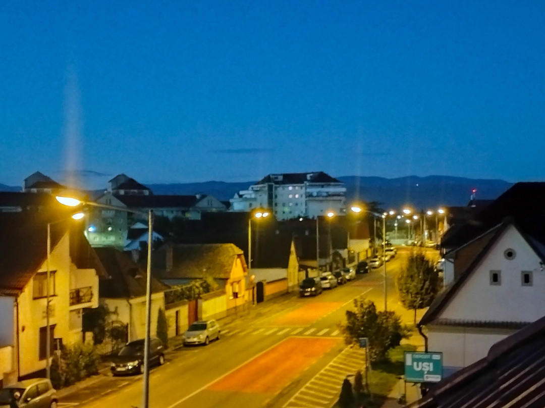 Sura Mica酒店住宿-Pensiunea Belascu Sibiu