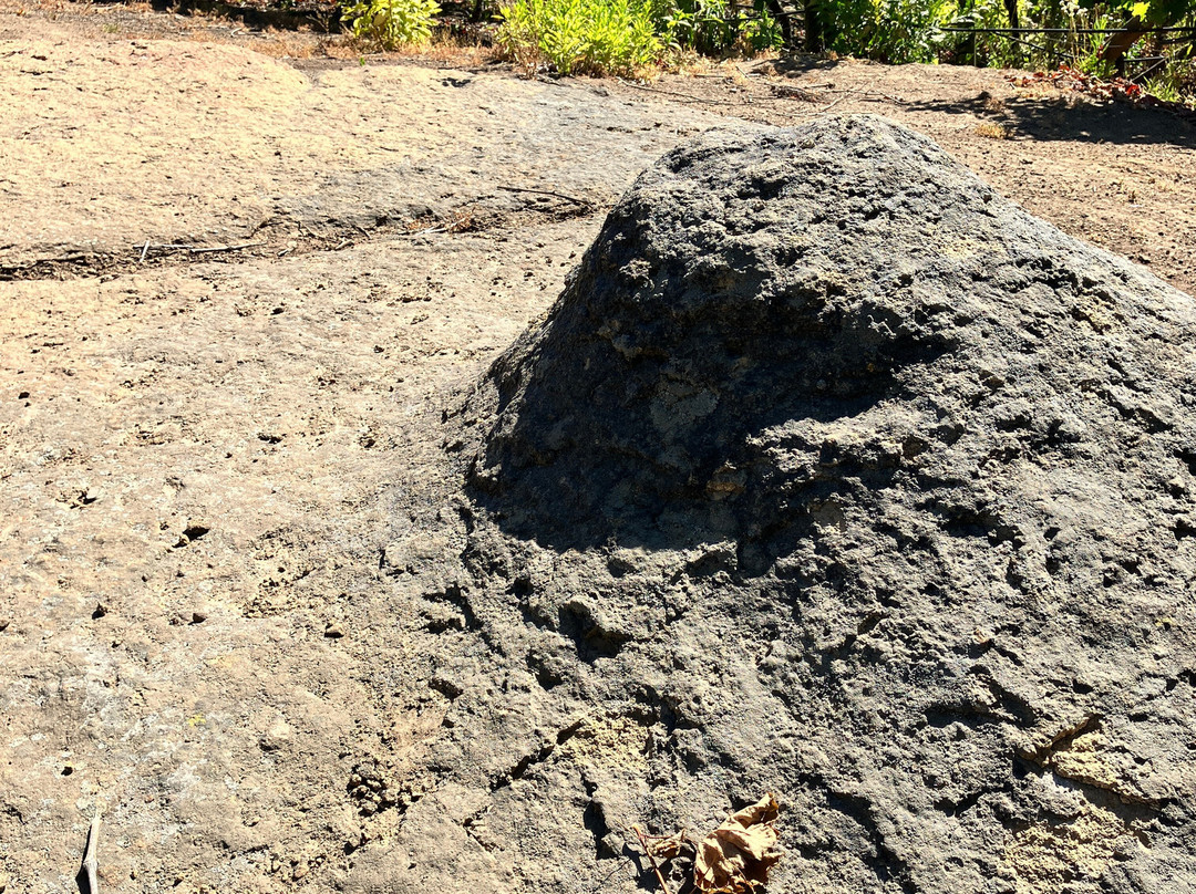 Experiencia Laberinto-Colbun必去景点