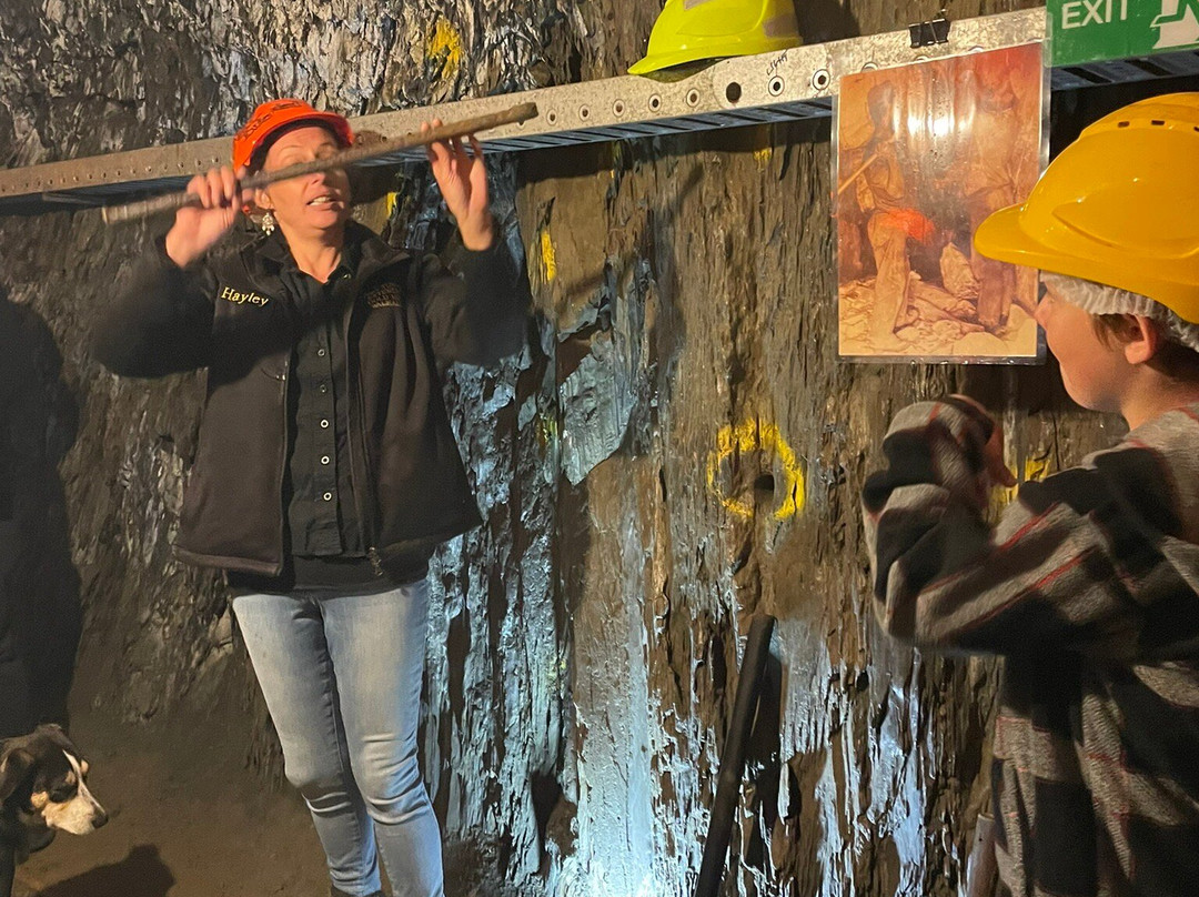 Long Tunnel Extended Gold Mine景点图片