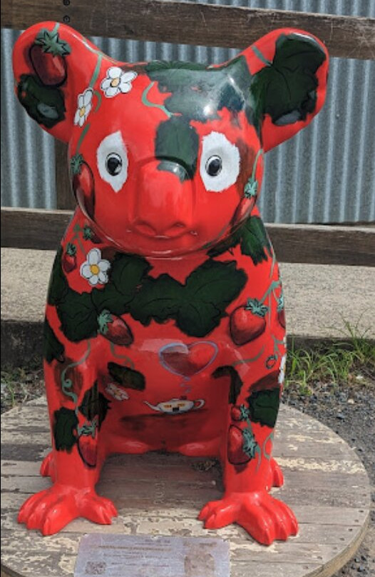 Ricardoes Tomatoes and U-Pick Strawberry Farm-麦克夸利港必去景点