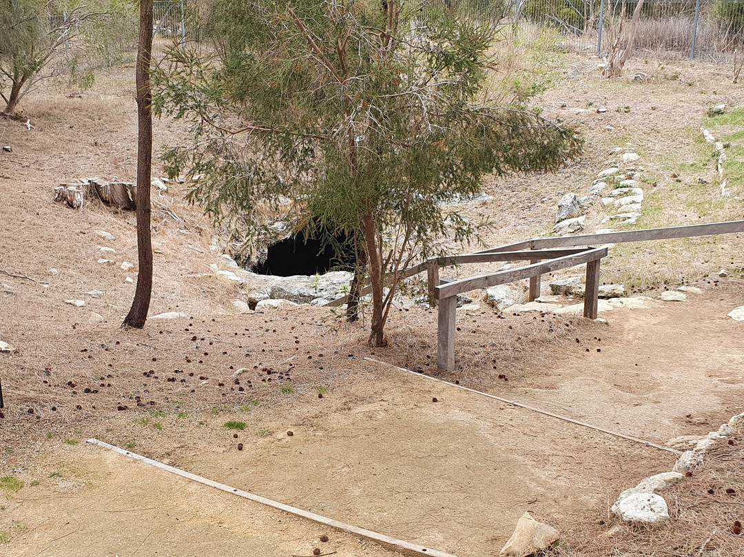 Naracoorte Visitor Information Centre-Naracoorte必去景点