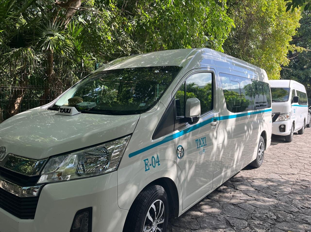 Genchi Family Tours & Transportation-普拉亚德尔卡曼必去景点