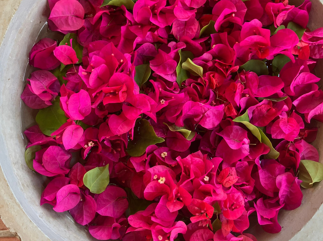 Nilaveli Ayurveda Gesundheitszentrum主图