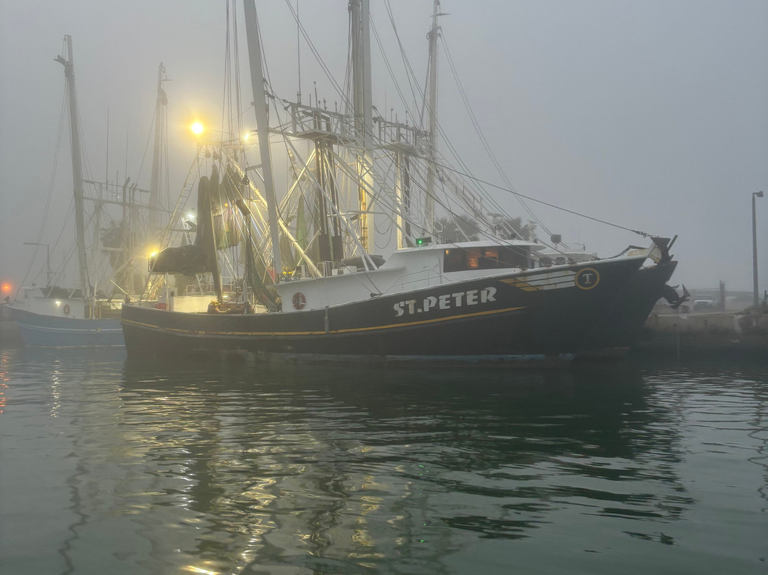 Canaveral Kings Sport Fishing Charters景点图片
