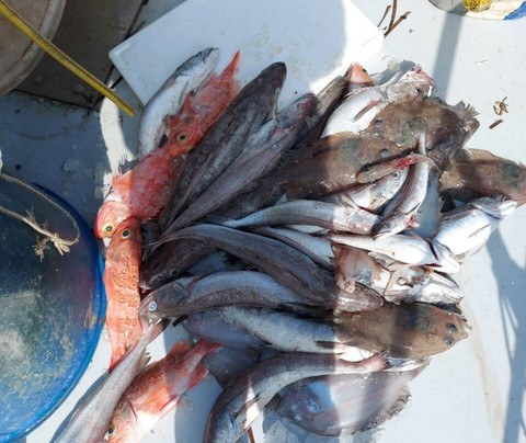 Elias Fishing Cy-拉纳加必去景点