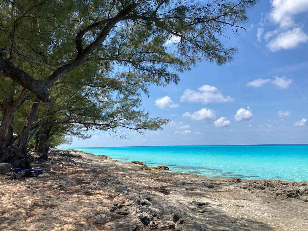 Radio Beach-Alice Town必去景点