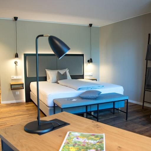 Landidyll Hotel Gasthof zum Freden-客卧