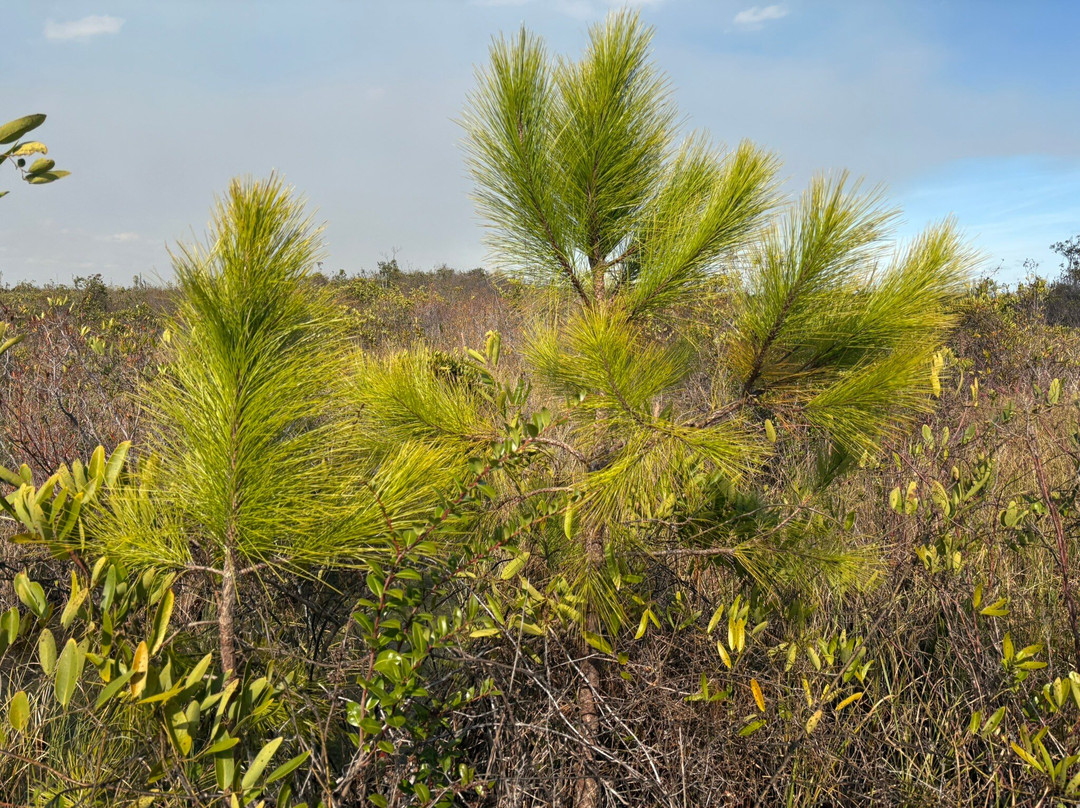 Okefenokee National Wildlife Refuge-Folkston必去景点