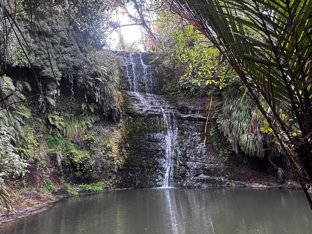 Omeru Reserve-Kaukapakapa必去景点