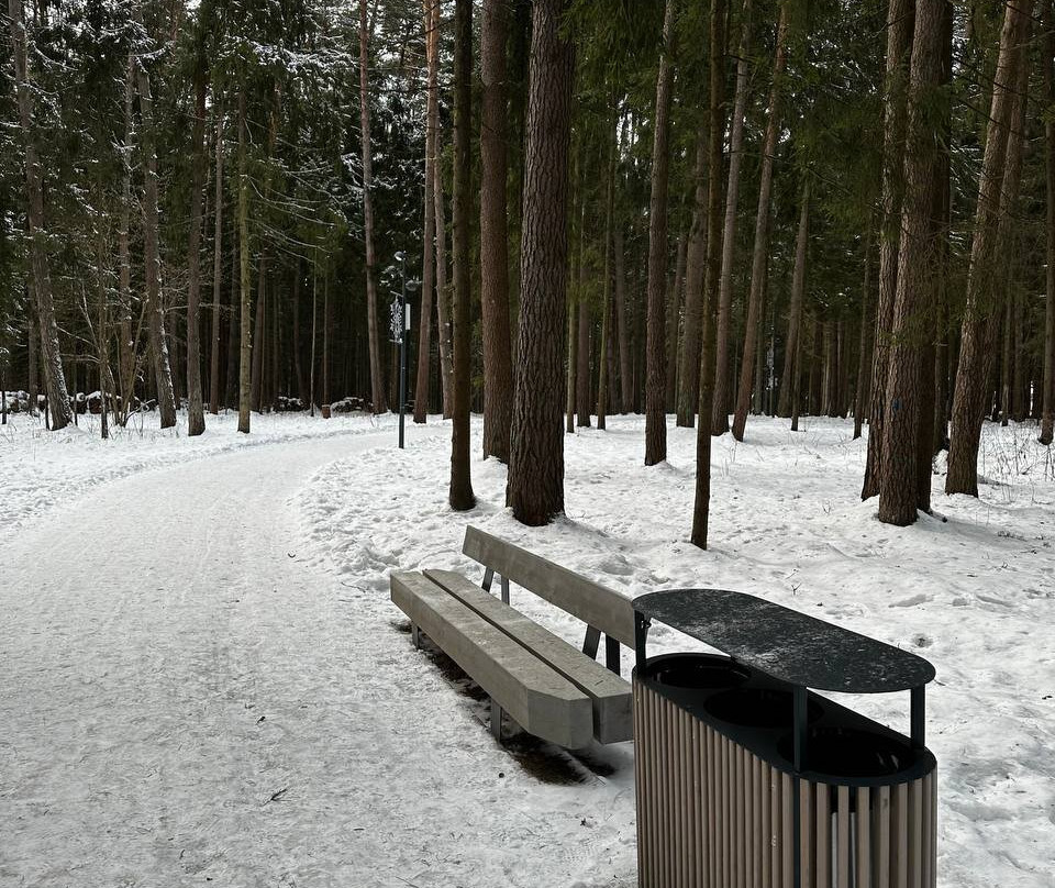 Shishkin Forest Forest Park景点图片