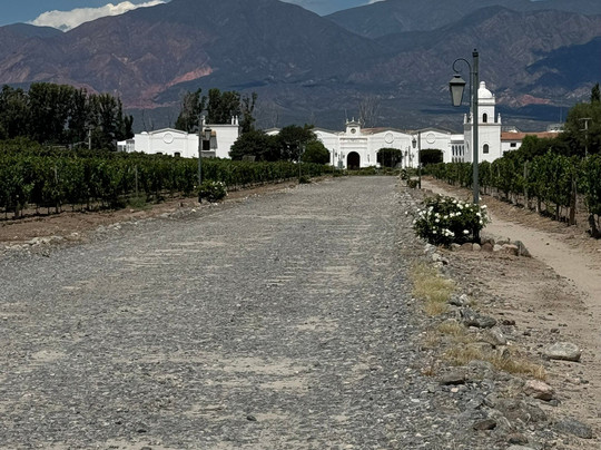 Borravino Wine Tours Salta-萨尔塔必去景点
