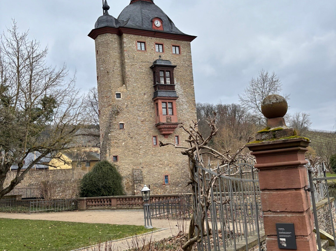 Weingut Schloss Vollrads景点图片