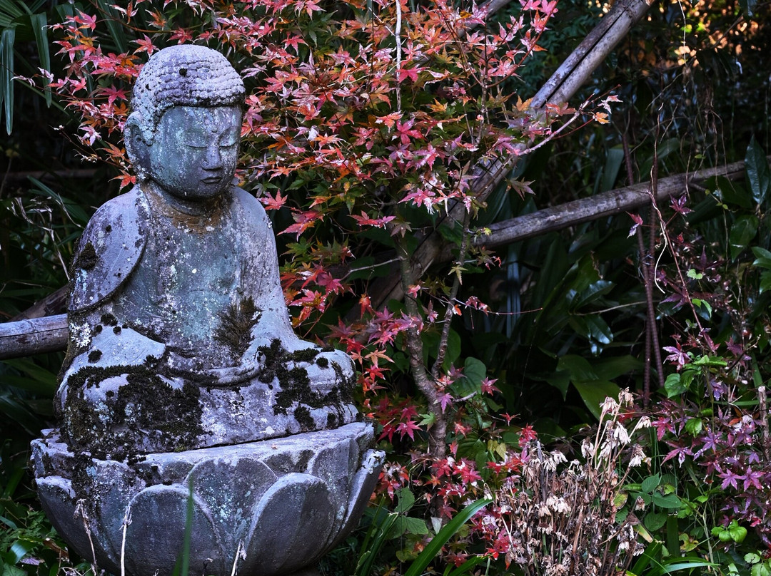 Jikoji Temple-都几川町必去景点