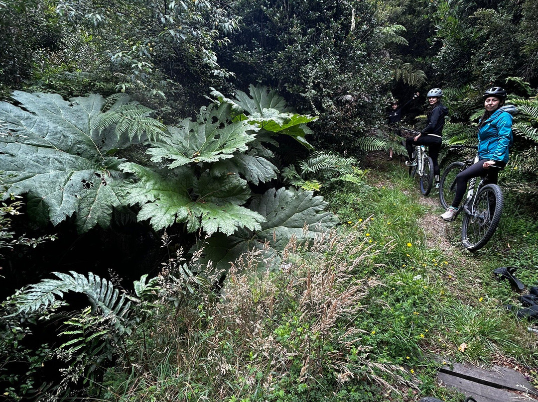 Parque Kewle-巴拉斯港必去景点