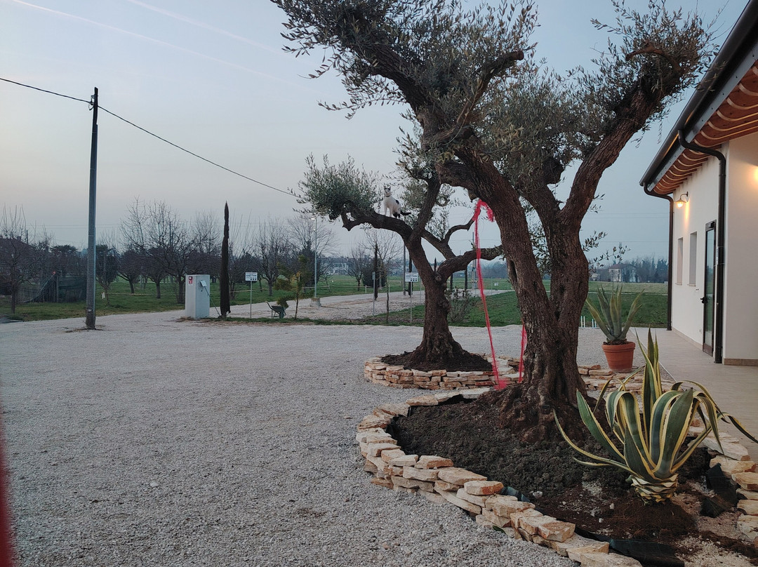 Agriturismo Honey Farm主图