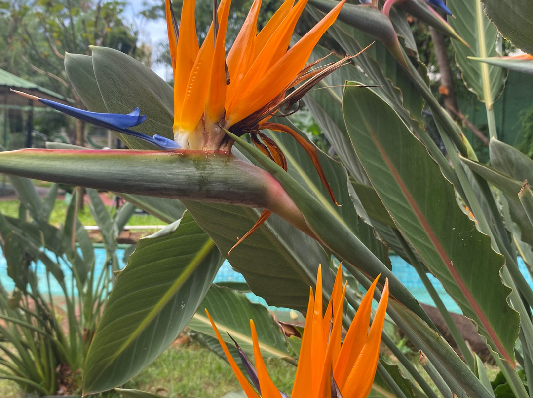 Jardim Da Oma-伊瓜苏必去景点