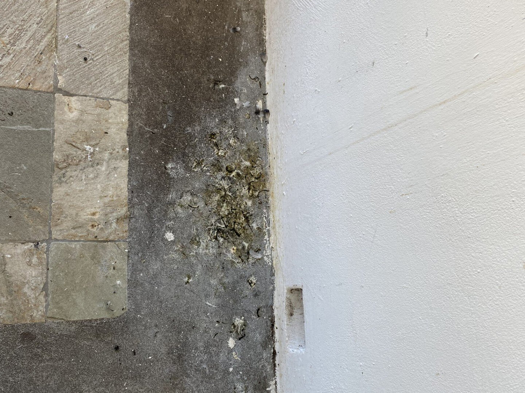 拉古纳海滩Spa酒店主图