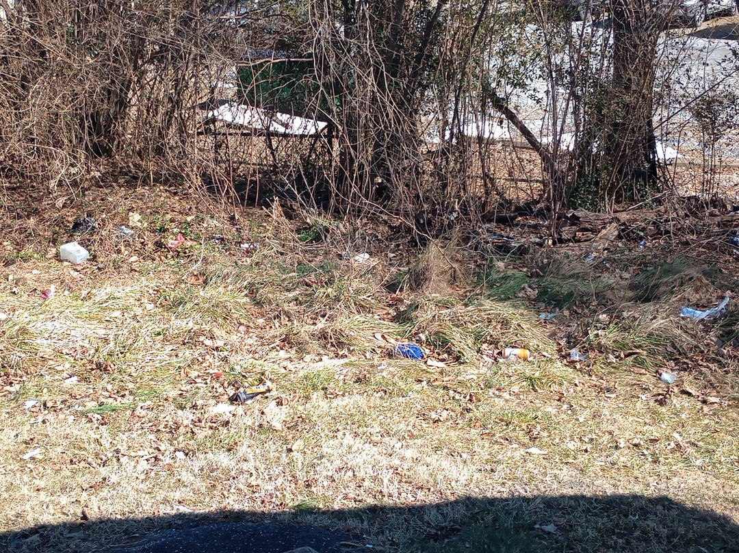 Skyline Motel By Oyo Waynesboro Us 250