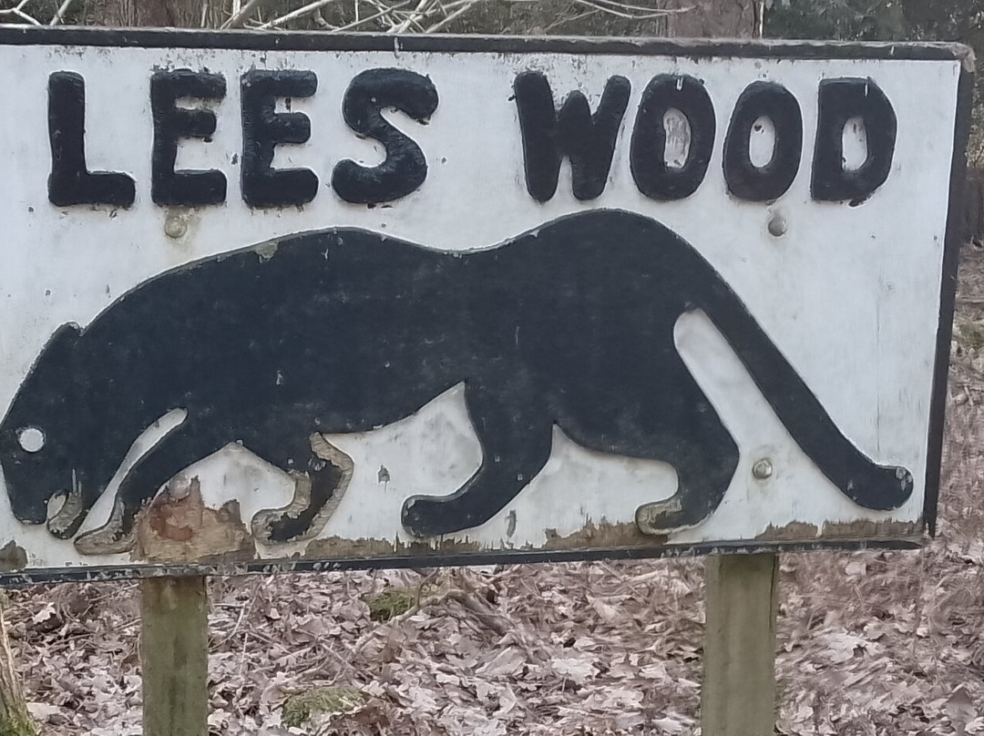 Lees Wood Scout Camp And Guide Activity Centre