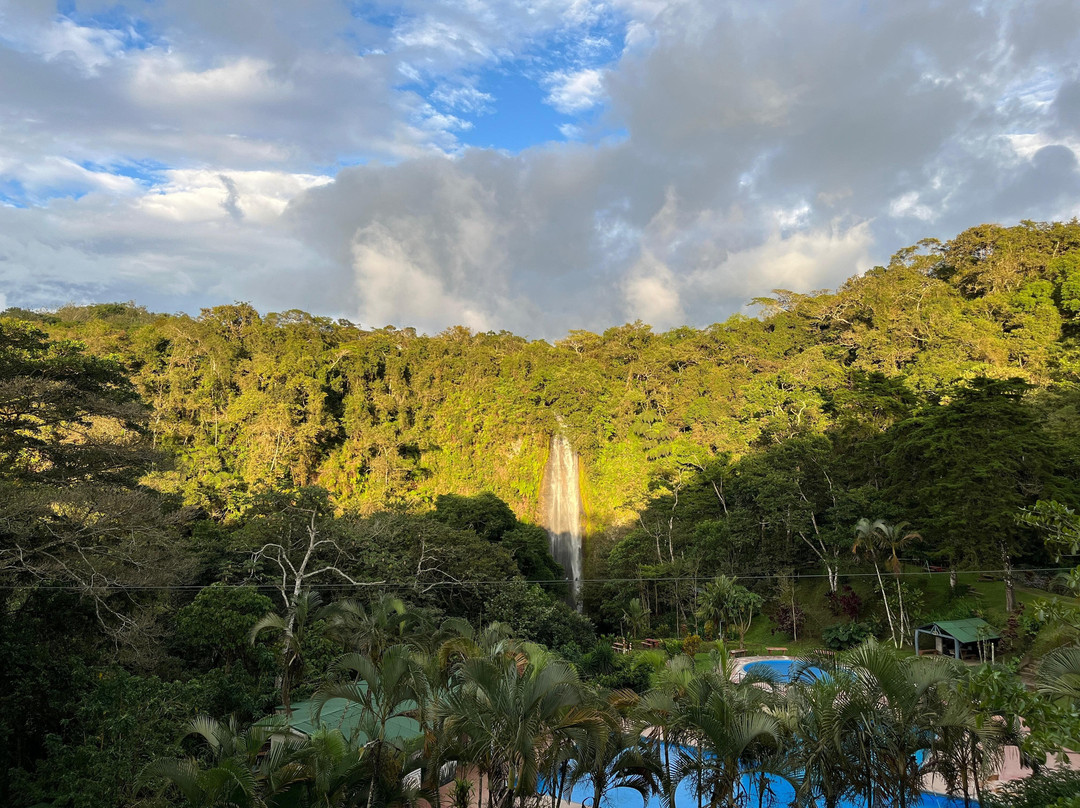 Parque De Aventura Eco Musas景点图片