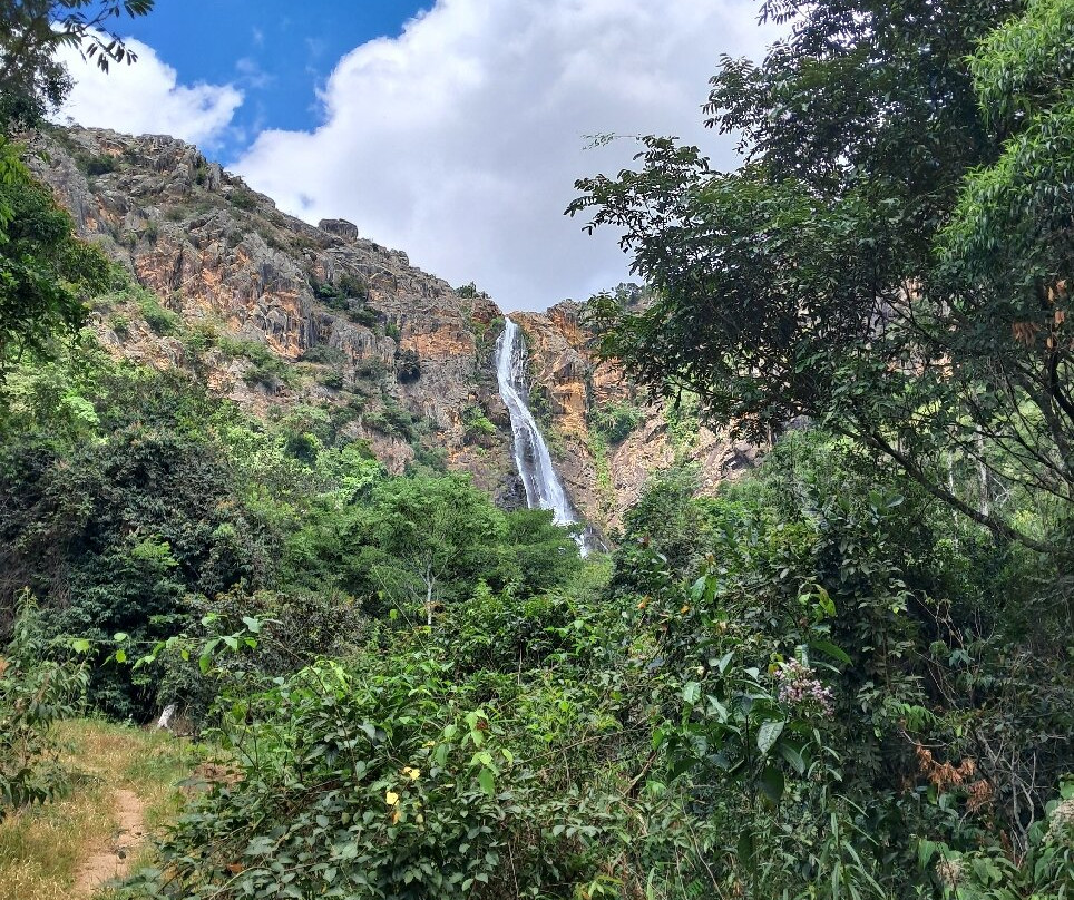 Reserva Natural da Cachoeira do Cerradao景点图片