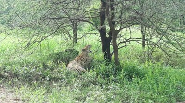 Nevis Tours And Safaris-桑给巴尔市必去景点