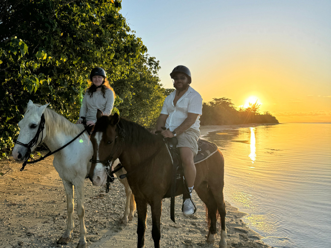 Jurutungo Farm-Florida必去景点
