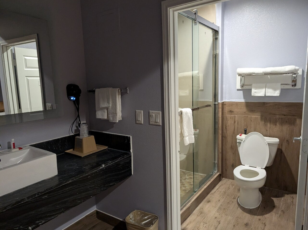 Baymont by Wyndham Kingwood主图