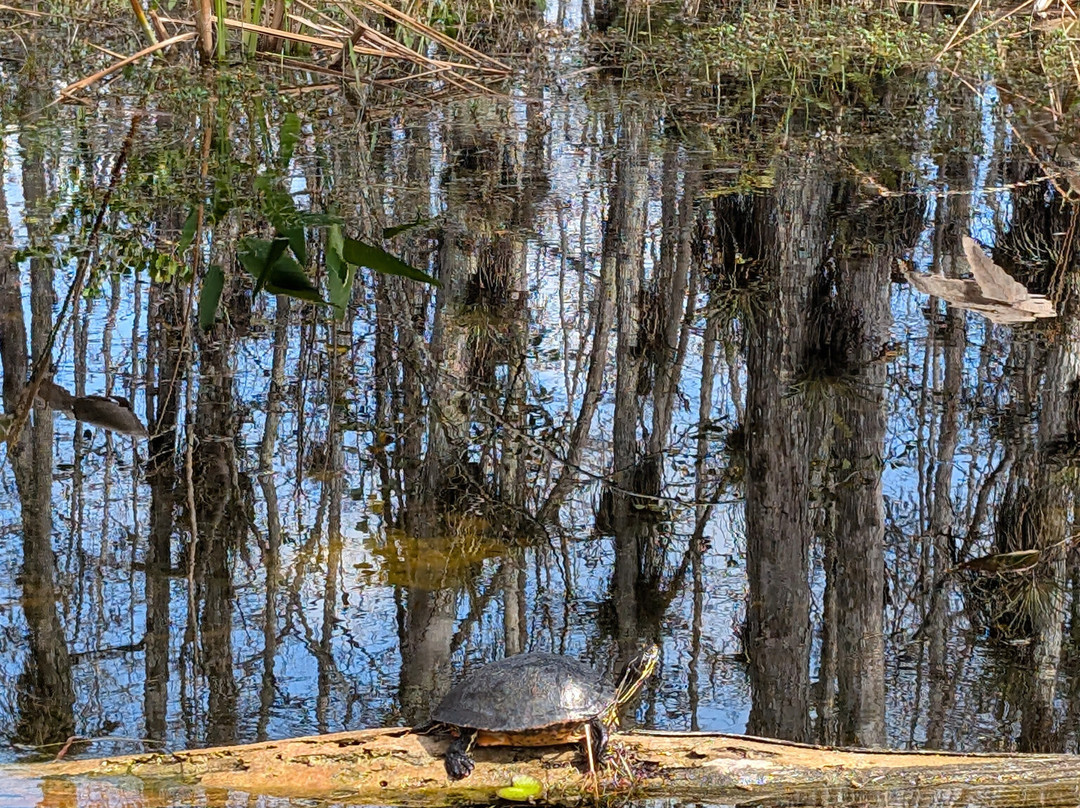 Loop Road-奥乔皮必去景点