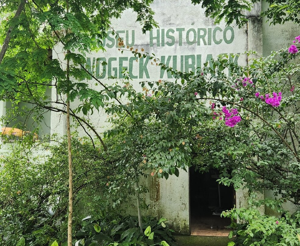 Parque Mata Atlântica景点图片