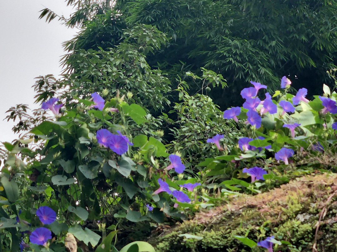 Pousada dos Anjos主图