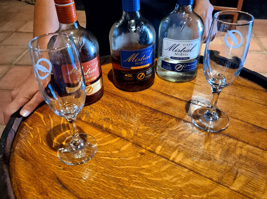 Destileria Pisco Mistral景点图片