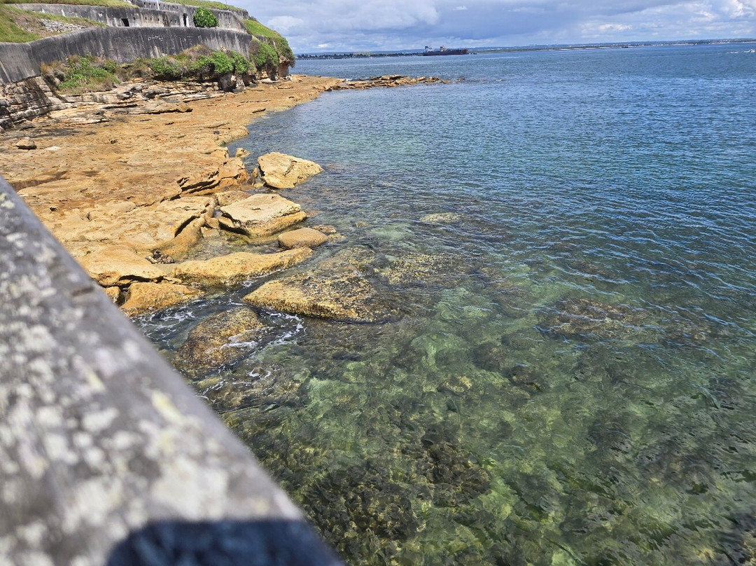 Bare island-La Perouse必去景点