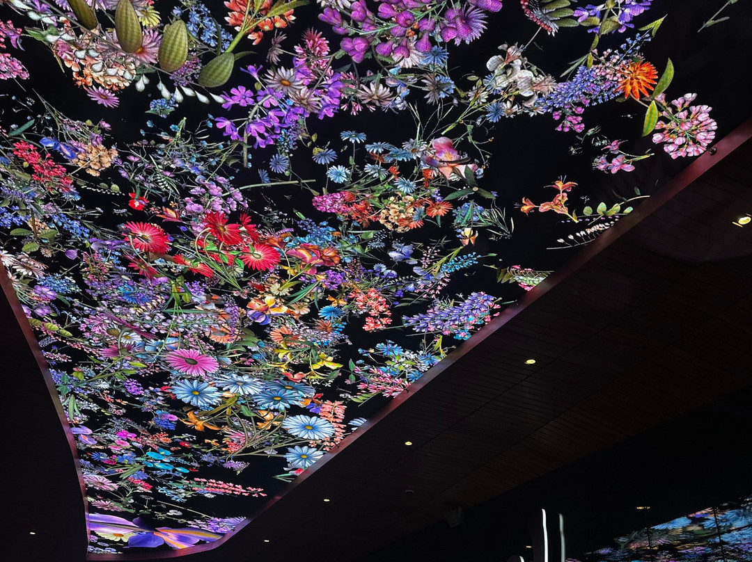 Live Casino & Hotel Philadelphia主图