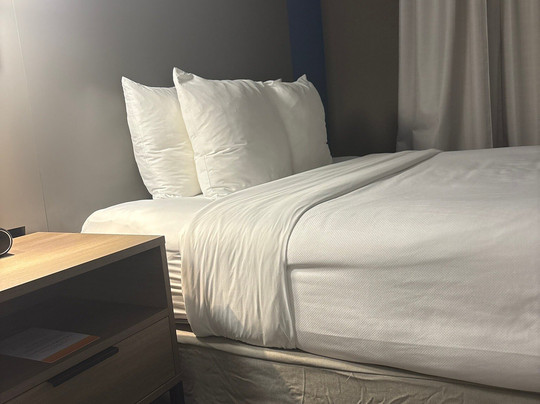 Comfort Inn & Suites Sarasota I75主图