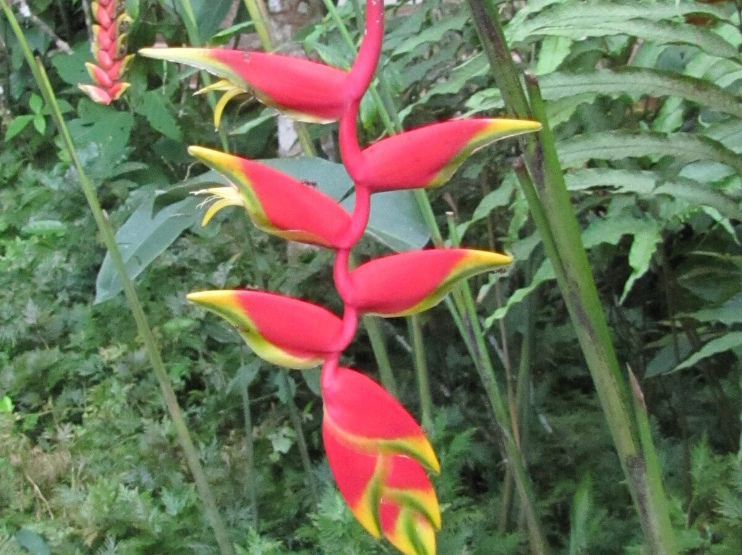 Posada Ecológica Casa María主图