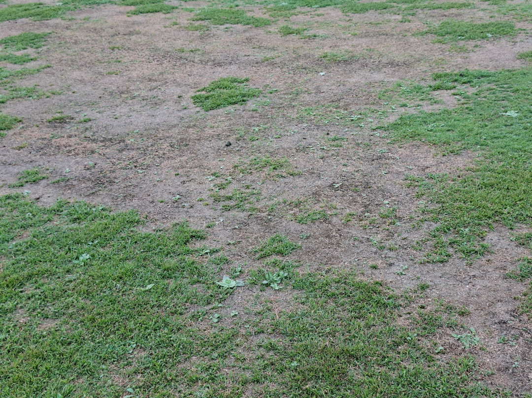 Badplaas Golf Club Guest House & Lodge主图