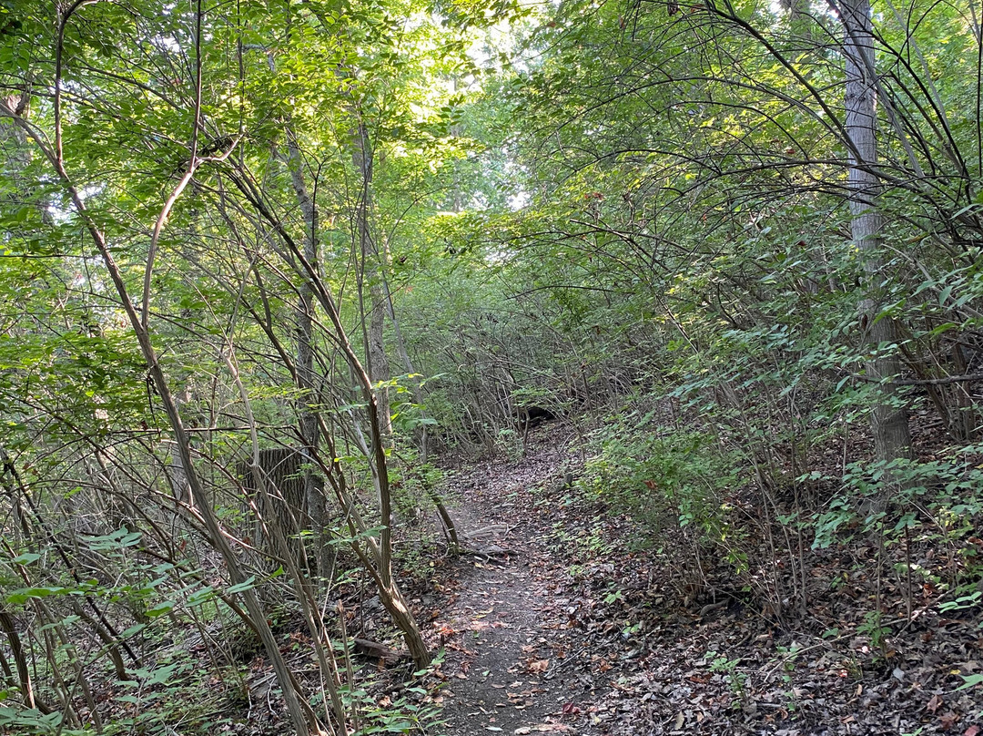 Ault Park-辛辛那提必去景点