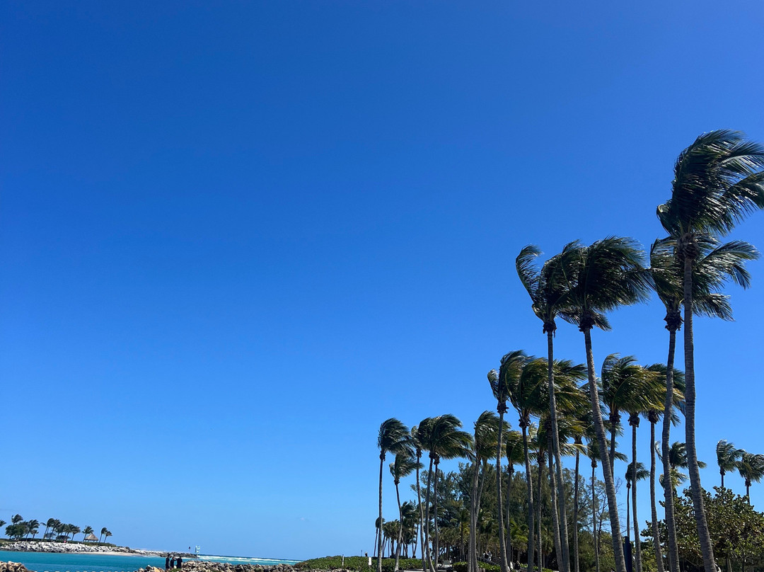 Dubois Park-朱庇特必去景点