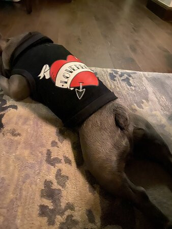 洛杉矶市中心菲格罗亚酒店主图