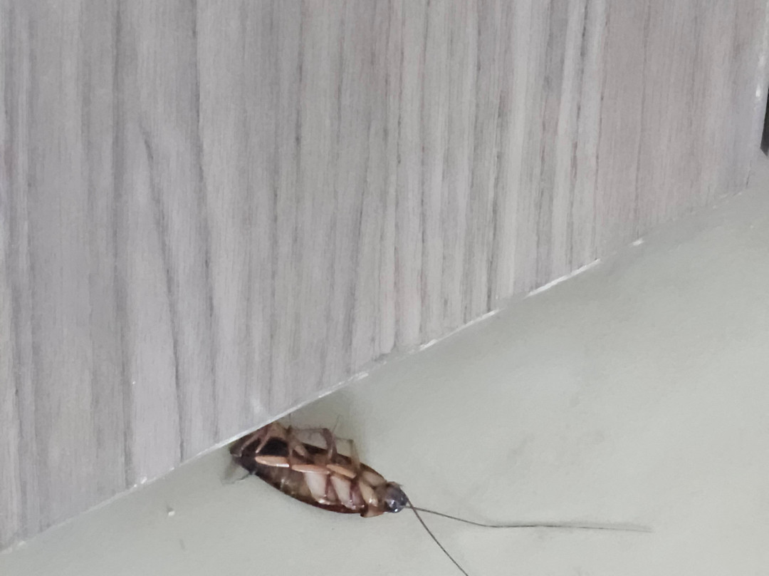 ESTELAR Villavicencio Hotel & Convention Center主图