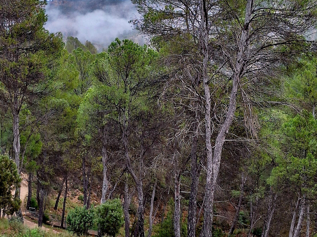 Castillo de Cofrentes-Cofrentes必去景点