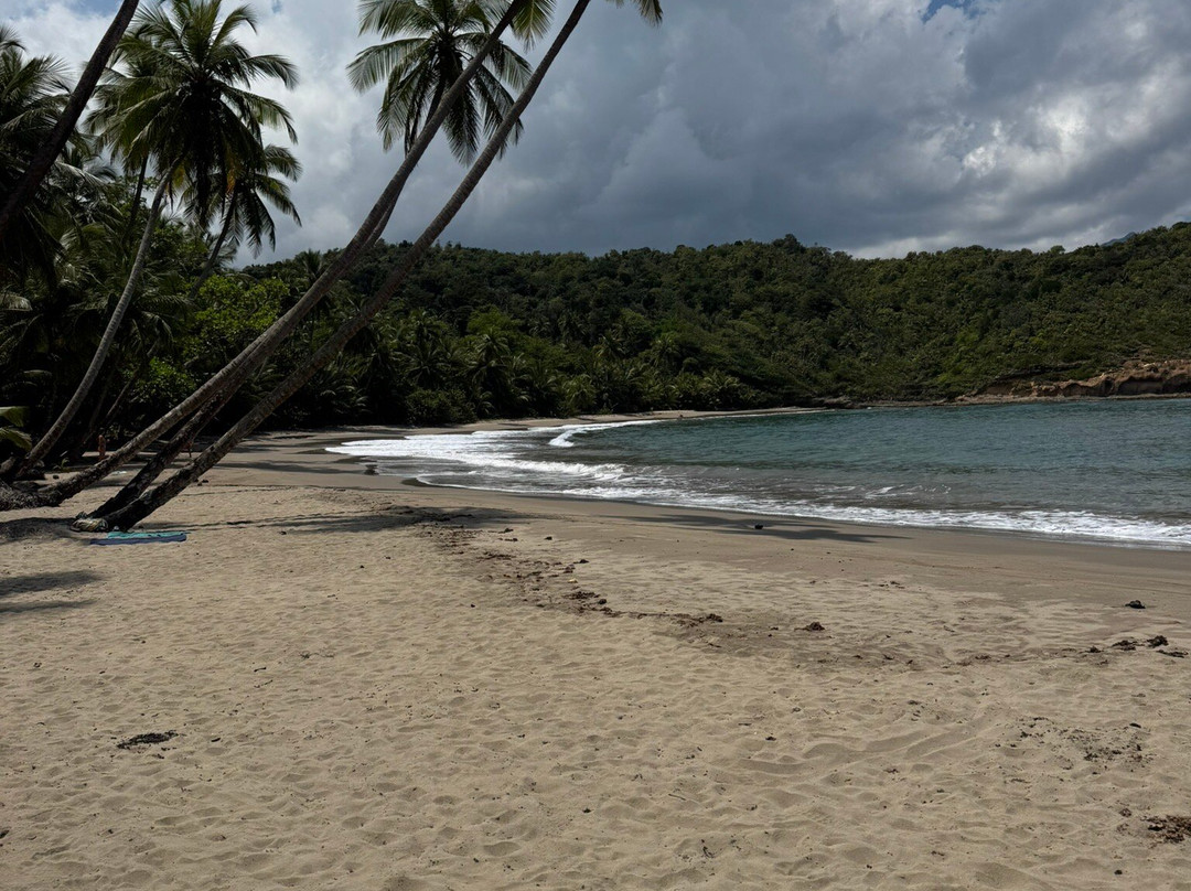 Batibou Beach-Hampstead必去景点