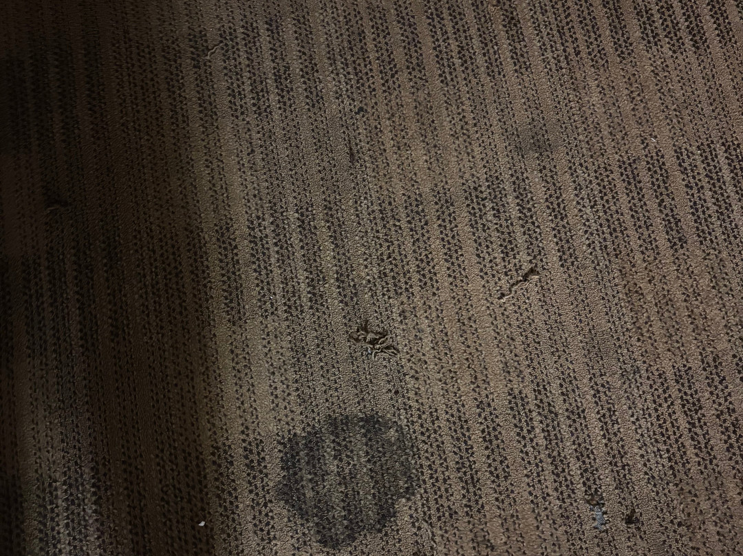 Extended Stay America - Los Angeles - La Mirada主图