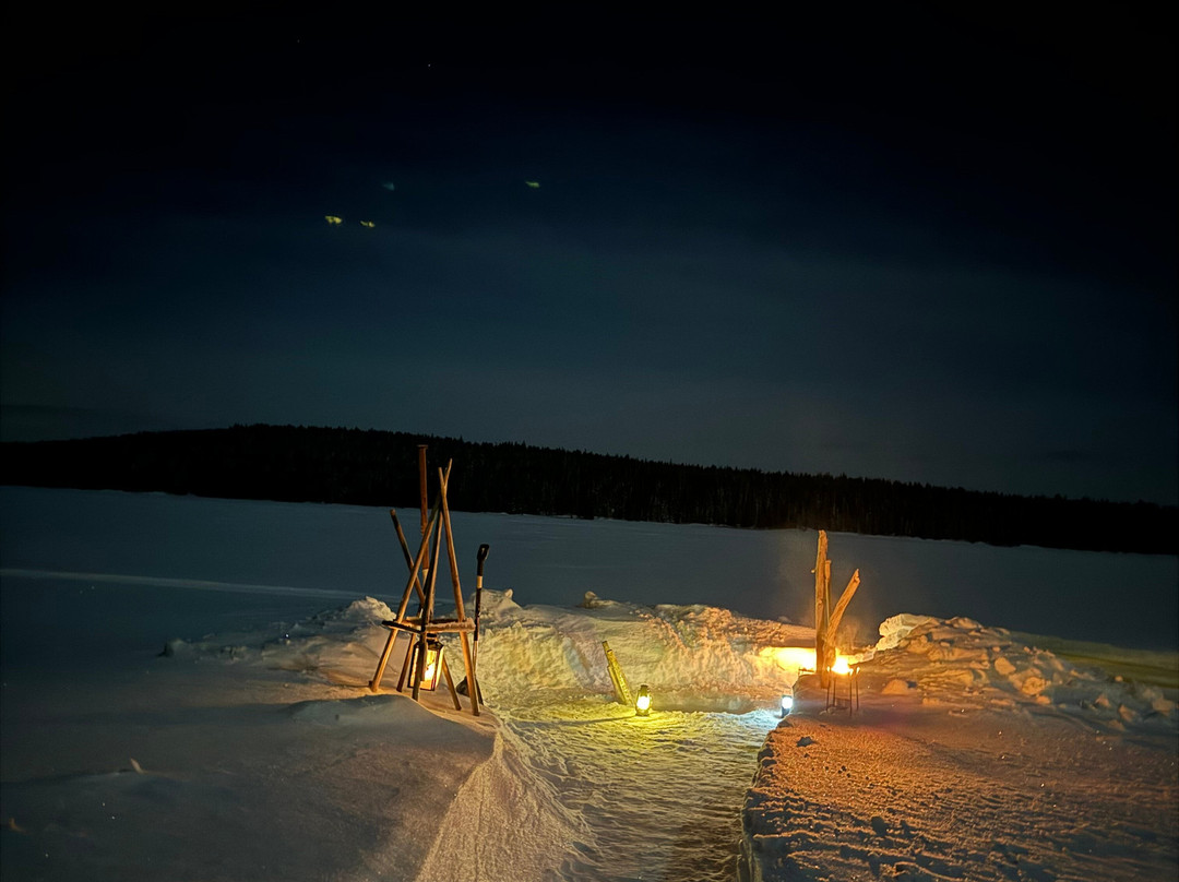Wild Blueberry-罗瓦涅米必去景点
