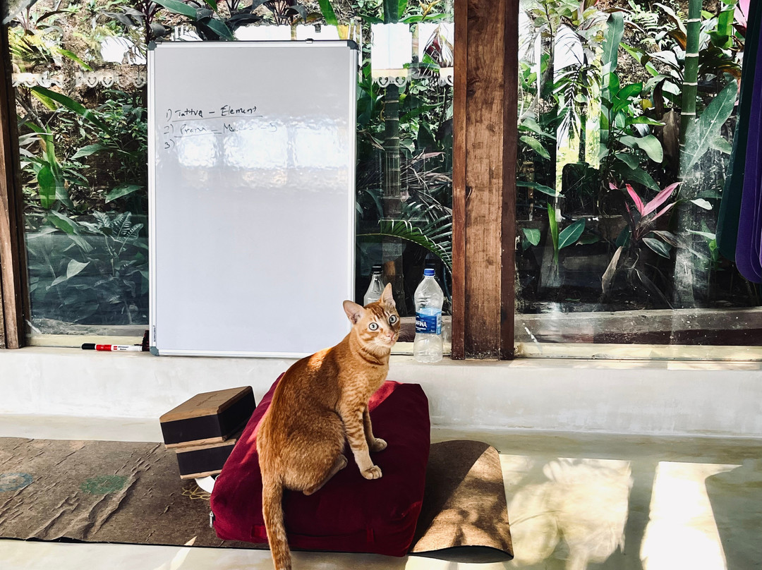 Yoga Chaitanya International Institute-Ranibagh必去景点