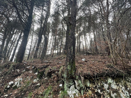 Pian Dei Cavai-Caneva必去景点