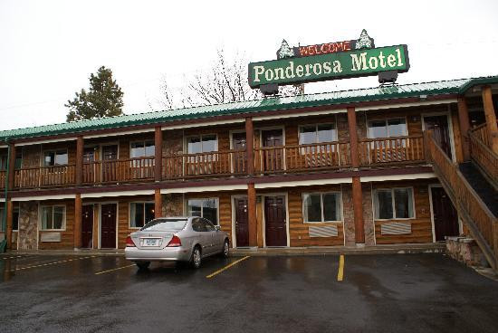 The Ponderosa Motel主图