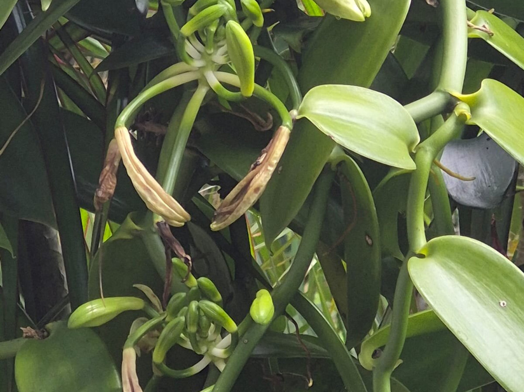 Le Domaine de la Vallee主图