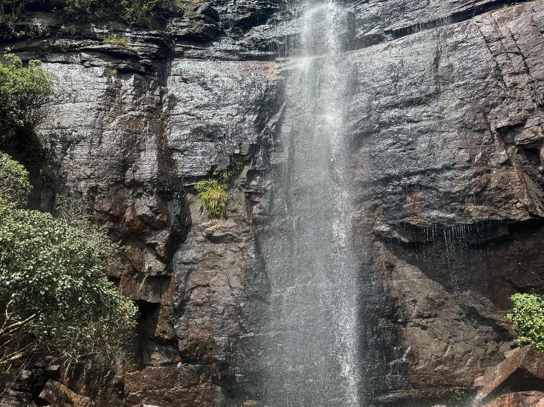Sri Lanka Trekking景点图片